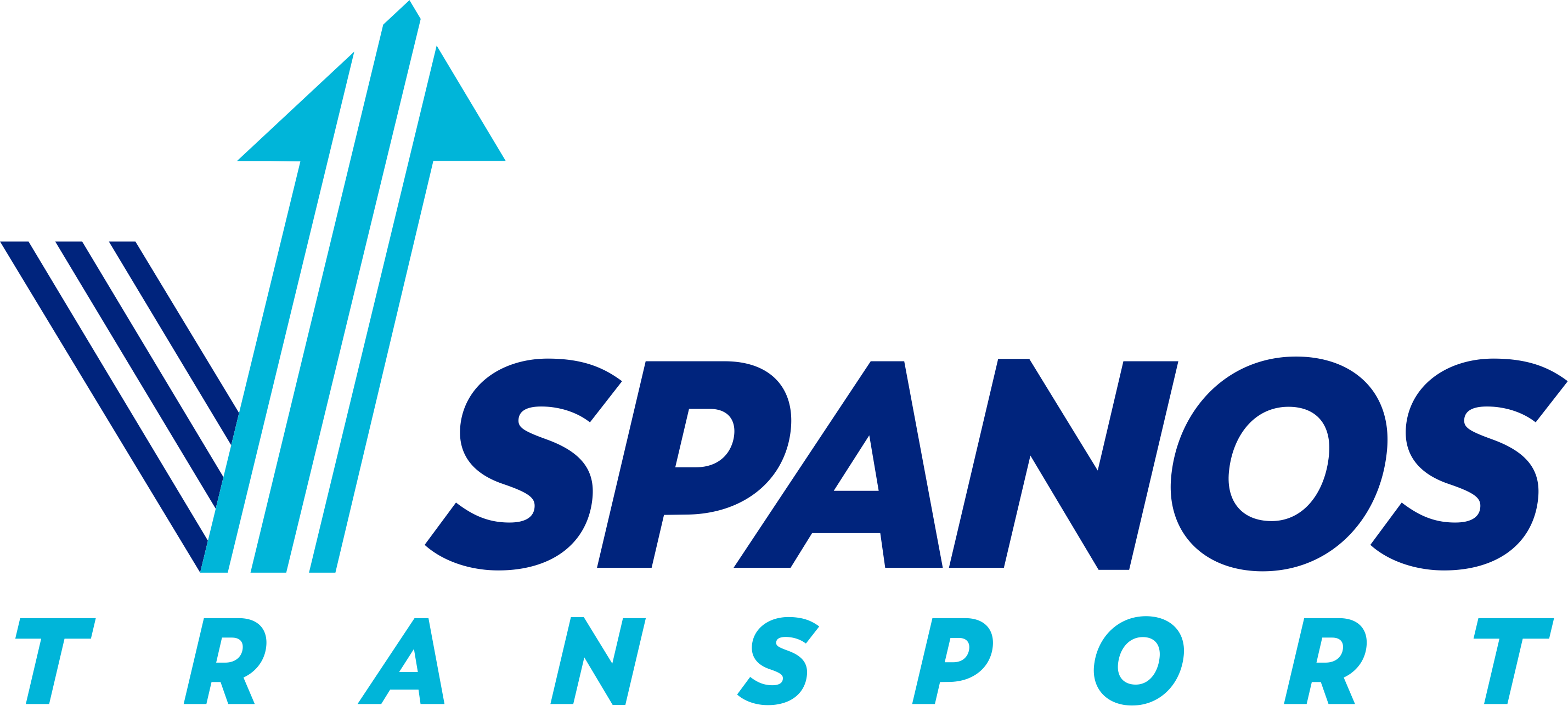 Site logo